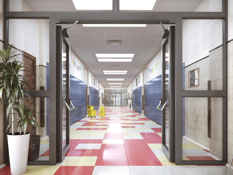 Image is of a set of commercial doors in the entry way of a building.